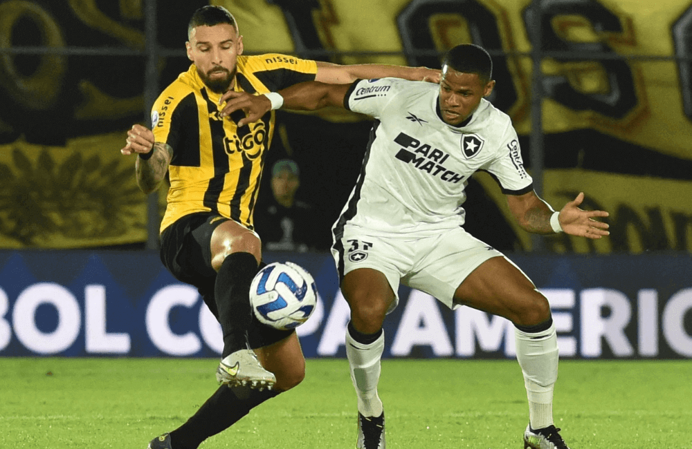 Botafogo avanzó y jugará ante Defensa y Justicia en la Copa Sudamericana.